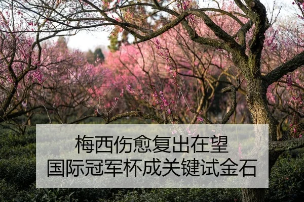 梅西伤愈复出在望 国际冠军杯成关键试金石